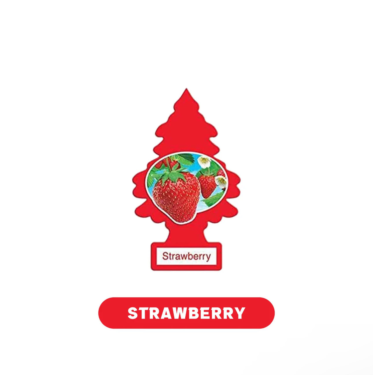 Little Tree Air Fresheners 1pk-24ct - A1 WHOLESALE LLC wholesale supplier Aonecostumer