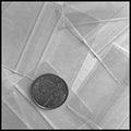 2010 Original Apple Bags 2" x 1"- CLEAR