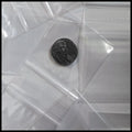 2020 Original Apple Bags 2" x 2"- CLEAR