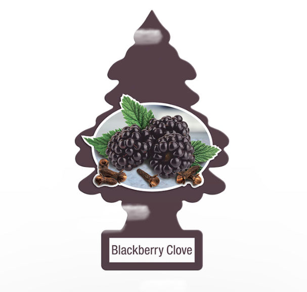 Little Tree Air Fresheners 1pk-24ct - A1 WHOLESALE LLC wholesale supplier Aonecostumer