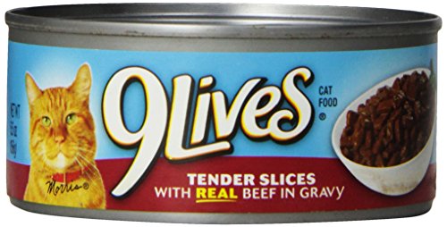 BIG HEART PET BRANDS Fd 9lives Chick Grvy Can 5.5 oz Single Can - Pet Supplies BIG HEART PET BRANDS wholesale supplier Aonecostumer