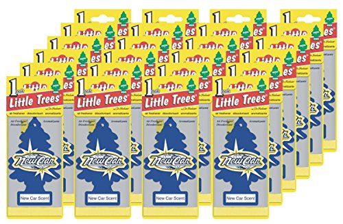 Little Trees Fresh Tree New Car Single Box - Automotive Little Trees wholesale supplier Aonecostumer