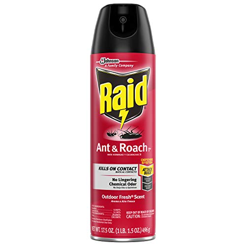 Raid Ant & Roach 12 oz Single Can - Household Supplies Raid wholesale supplier Aonecostumer